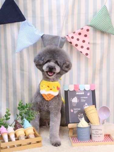 20250509るいくん